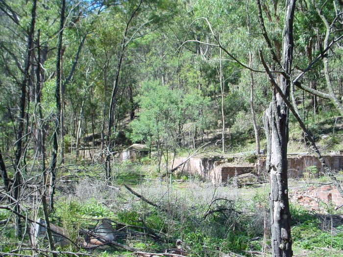 
Ruined buildings near the end of the Newnes branch.
