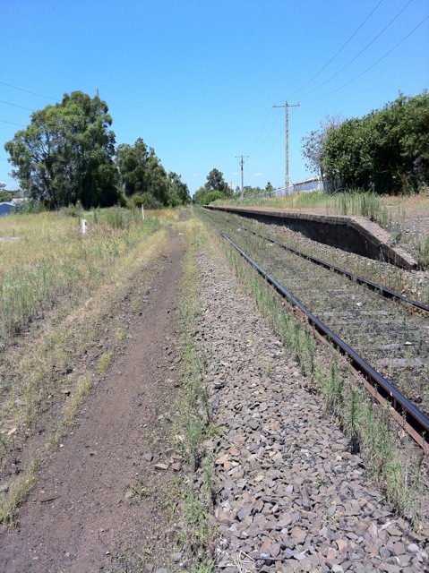 The view looking west along the platform towards Cessnock.