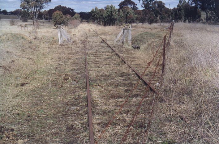 
The line as it crosses the Middle Arm Rd near the intersection of Norwood
Rd, just before the one-time location of Norwood platform.
