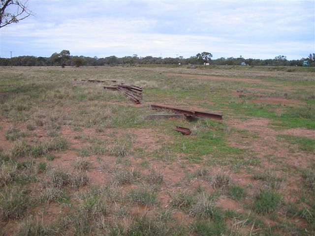 
Some pieces of rail are all the remain of the track in the vicinity of the
junction.  The Cobar branch runs along the levee bank in the right
background.
