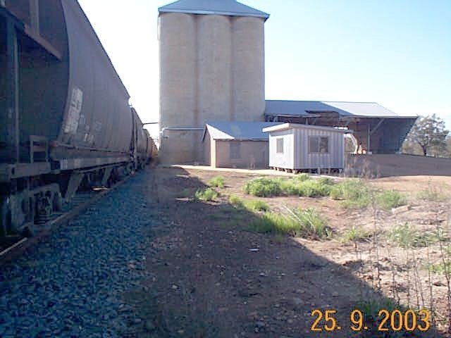The view along a set of wheat wagons in the silo siding.