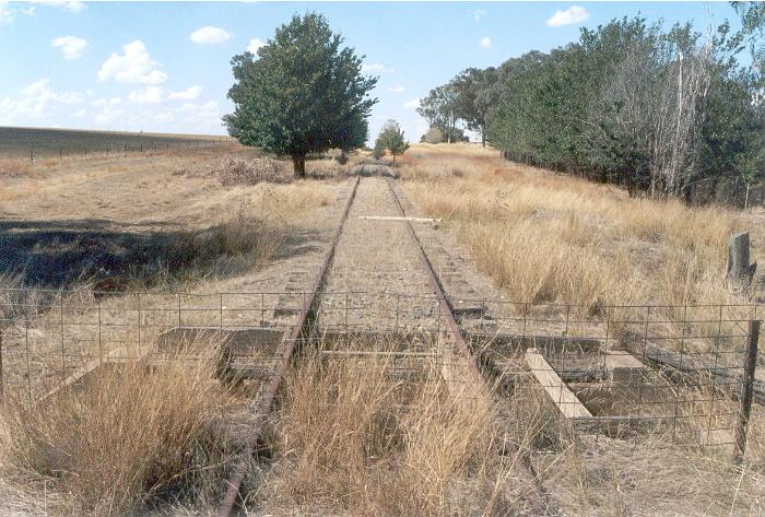 The view from the Orelda Siding Road crossing looking towards Burrumbuttock.