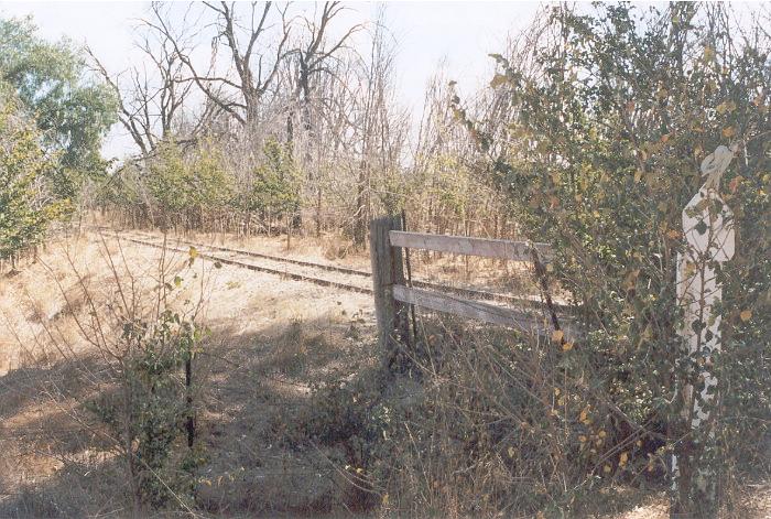 The Corowa line crosses the Orelda Siding Road about half way between Brocklesby and Burrumbuttock. Presumably from the name of the road the Orelda platform was somewhere in the vicinity. The view from the crossing looking towards Brocklesby.