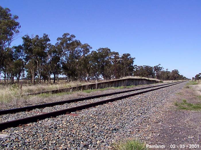 
The up-side loading bank is all that remains at this location.  This
is the view looking back towards Junee.
