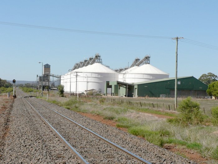 The large set of grain silos at the Parkes Grain Service Centre.