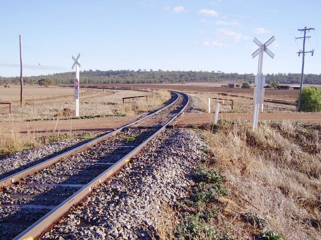 A view looking west towards Yanco of the level crossing on the Paynters Siding Road, showing the general location where the siding was situated - however no evidence of the siding remains.