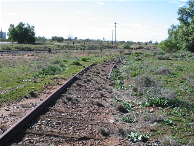 
Peak Junction on The Peak Branch line. The Cobar Branch line is in the
background.
