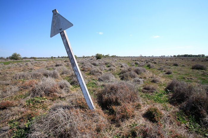 The remains of a fixed signal in the overgrown yard.