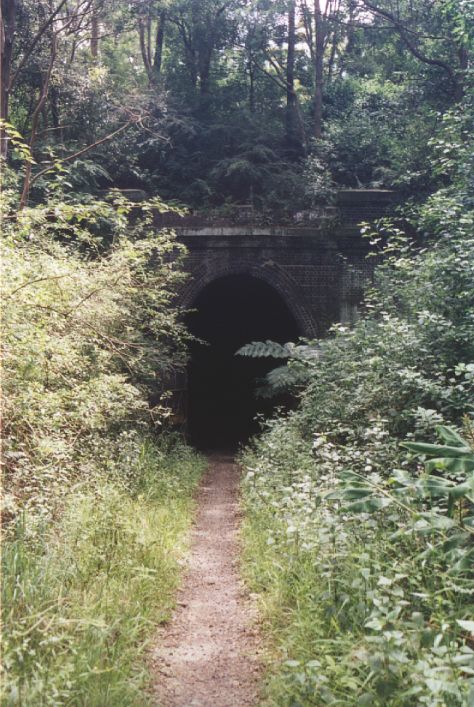 
At the up end of the one-time crossing loop is Redhead Tunnel.
This is the view the approach to the down portal.
