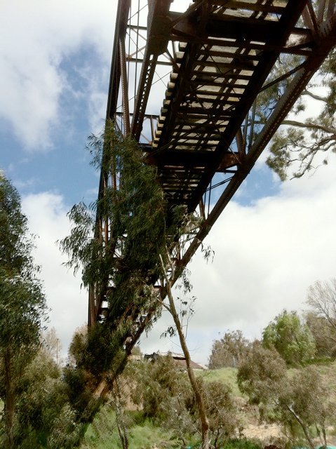 The view looking up at the underside of the bridge over the Yass River.