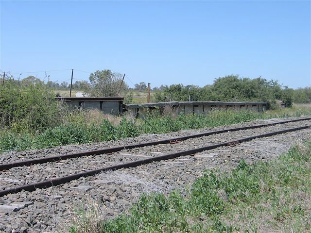 
Another overgrown loading bank at Rowena.
