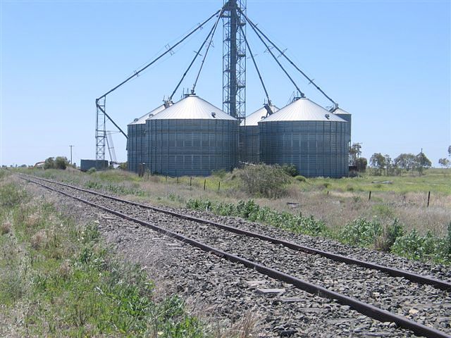 
Silos at Rowena, looking north.
