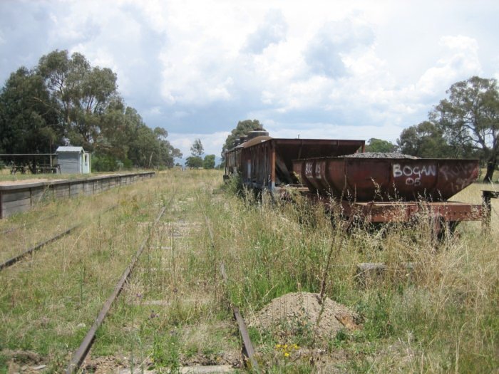 The view looking south through the overgrown yard.