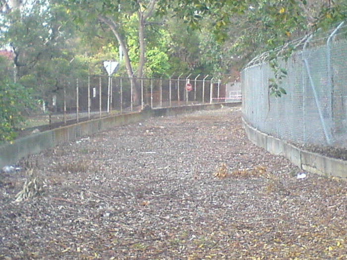 After the Unwin Street crossing, the track has been lifted.