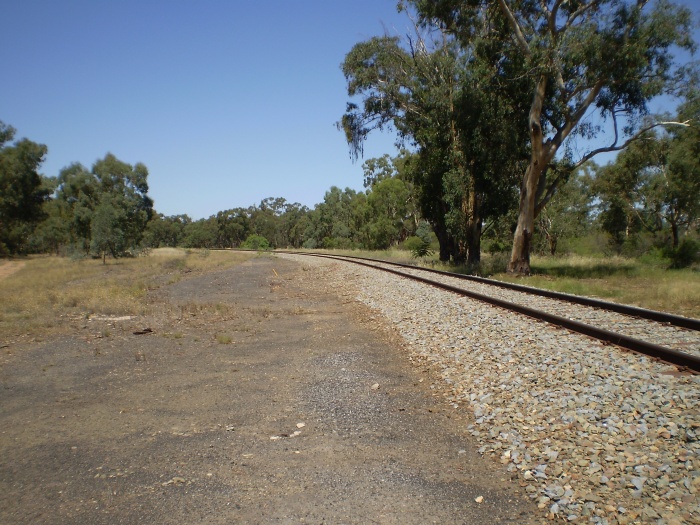 A closer view of the station location, where the large trees are now located.