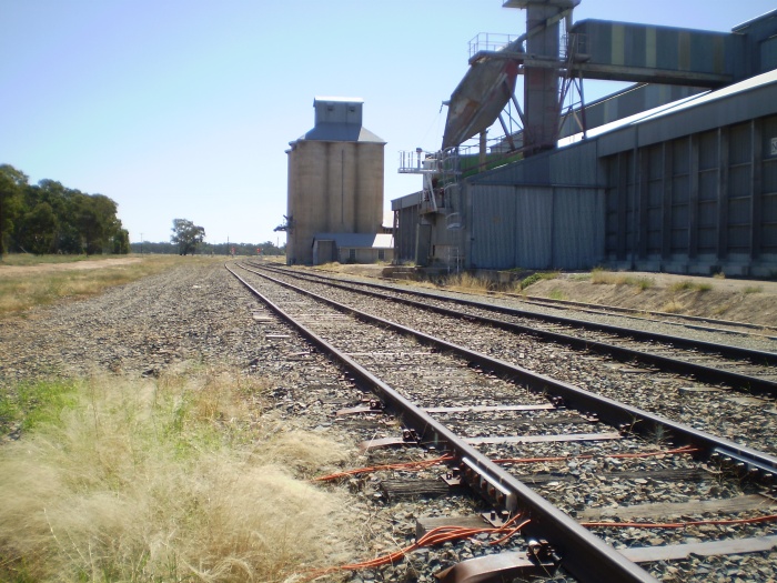 A view of the silos, looking west.