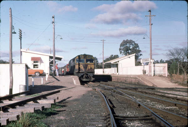 Stockinbingal showing two platforms in better times with passenger trains. 44205 and a 48 lead an up freight.