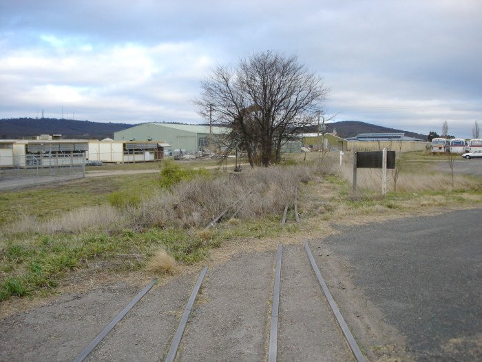 The view looking south towards the southern end of the siding. The points lever is visible to the left of the tree.