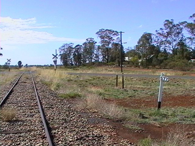 
The level crossing at the Barmedman end of the yard.
