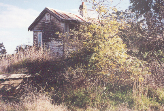 
The station building and platform are almost hidden by scrub in this
pre-fire photograph.
