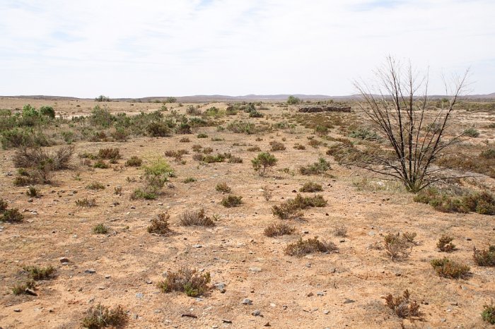 The vicinity of the end of the line, looking back towards Broken Hill. The area is extensively flood damaged.