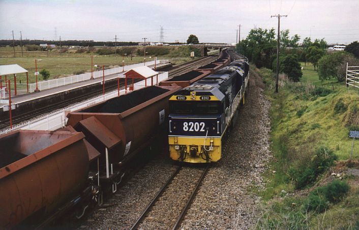 
8202 leads an empty coal train past a loaded train at Tarro.
