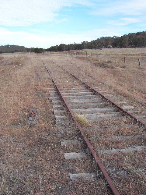 Some of the best sleepers in the line, at the location of the down points at the Crookwell end of The Forest loop siding.
