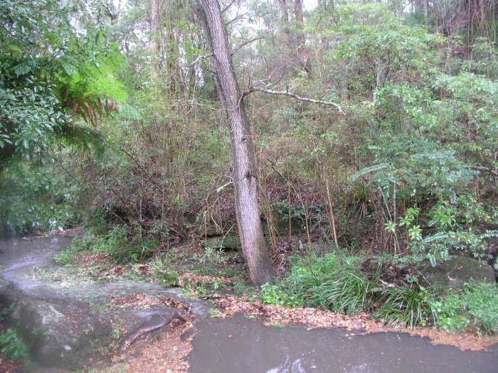 The site of a small bridge over Zig Zag creek.