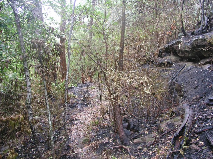 A view of the formation near the bridge site.