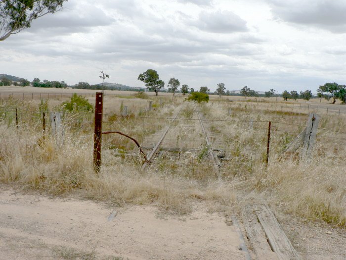 The foundations of the tank are on the right hand side of the small tree in the distance.