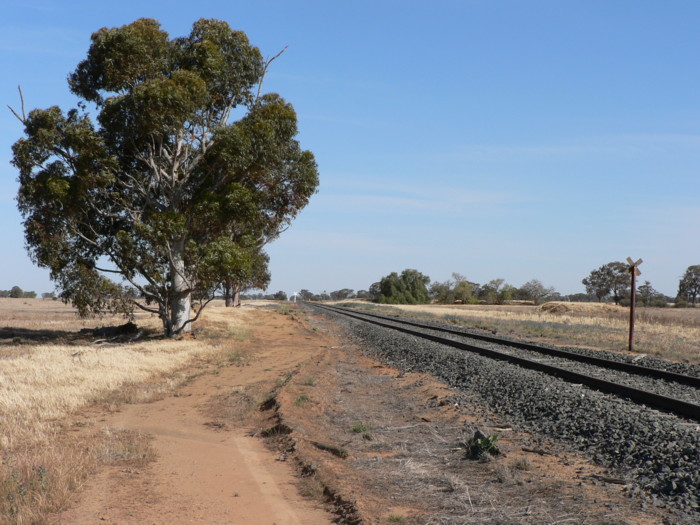 The view looking east. The former siding was on the right.