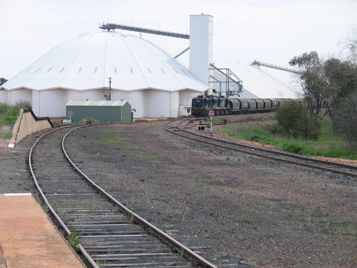 A wheat train headed by a pair of 48 class locos is sitting in the Wheat Siding.  This is the view looking north. The siding leading off the the right leads to the turntable.