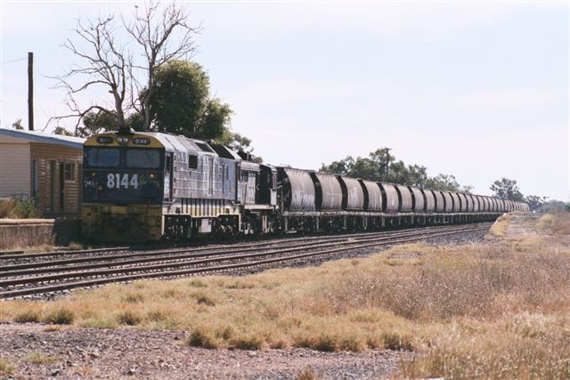 
8144 heads a wheat train, in this view looking towards Nyngan.
