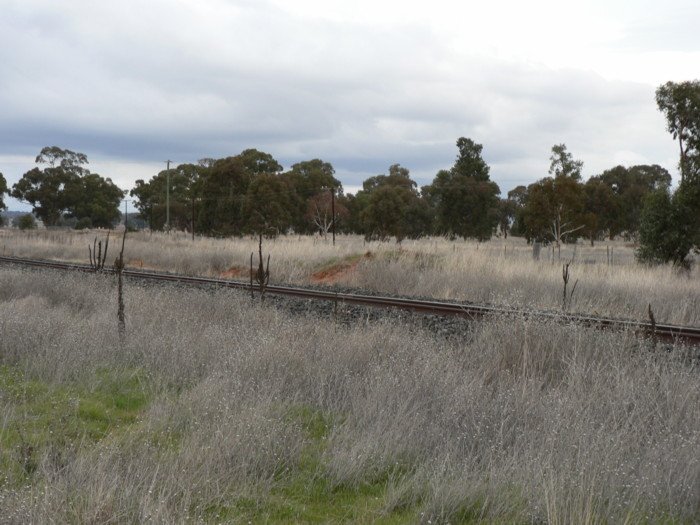 The view looking south towards the possible remains of the one-time platform.