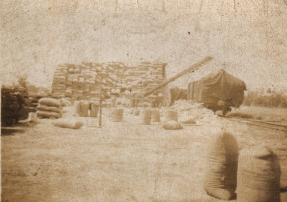 Bagged wheat being loaded onto wagons.