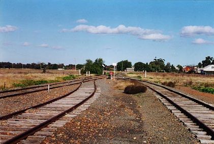 
The view in Trundle yard, looking south towards Bogan Gate.
