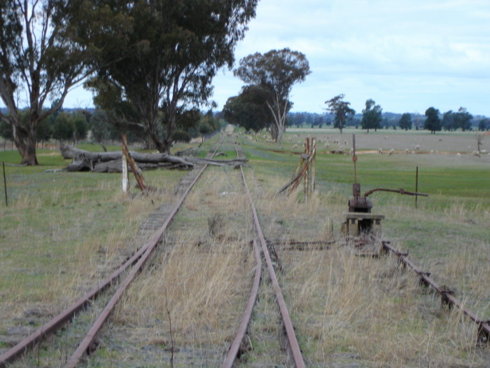 The points levers at the up end of the location, looking towards Henty.