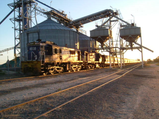An dawn shot of a train loading at the wheat terminal.