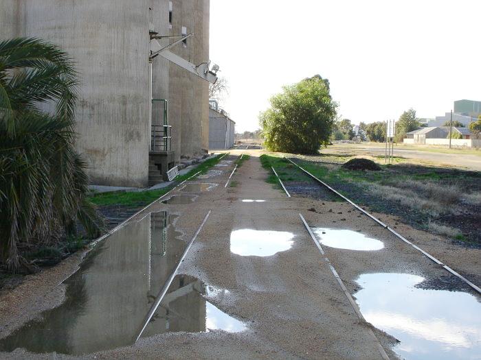 The view looking back towards Culcairn along the silo siding.