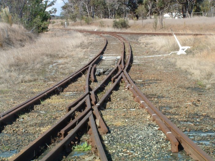 The view looking towards the dead end of the turning triangle. The dual gauge track entering from the left is the north leg. The track entering from the bottom is the narrow gauge south leg, while the track leaving on the right is the standard gauge south leg.