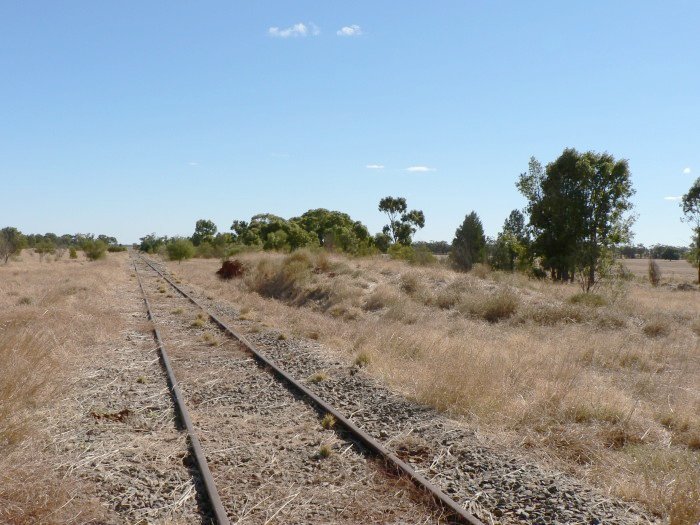 The view looking north of the probable station remains.