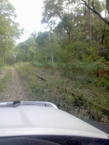 Intact trackwork at the up end of the branch.