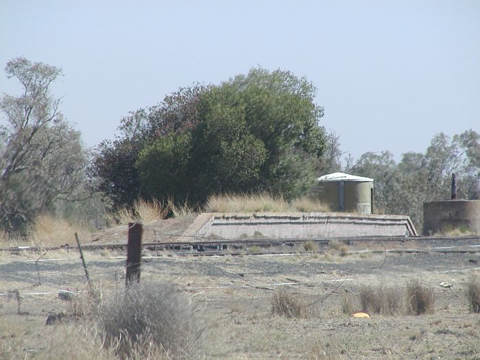 
The overgrown concrete platform still remains.
