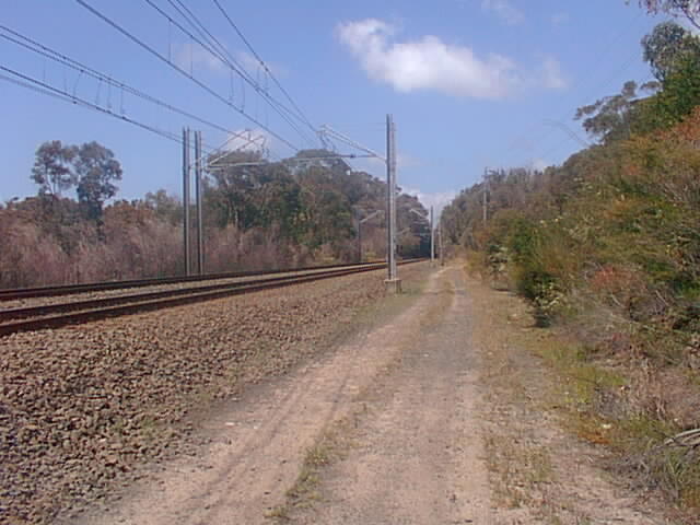 The view looking south to the cutting which was the former tunnel.