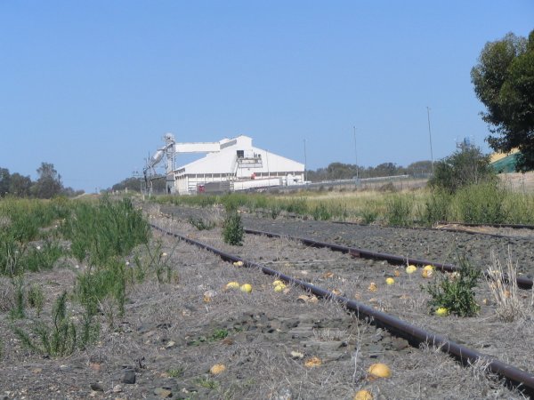 
The grain loading facilities, looking south.

