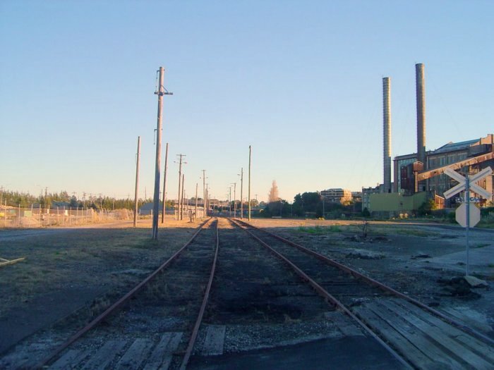 The view looking west towards Rozelle Yard.