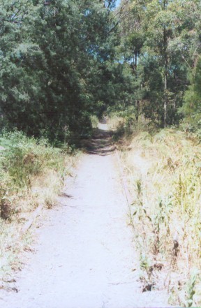 The state of the formation near the station, now part of a walking track.
