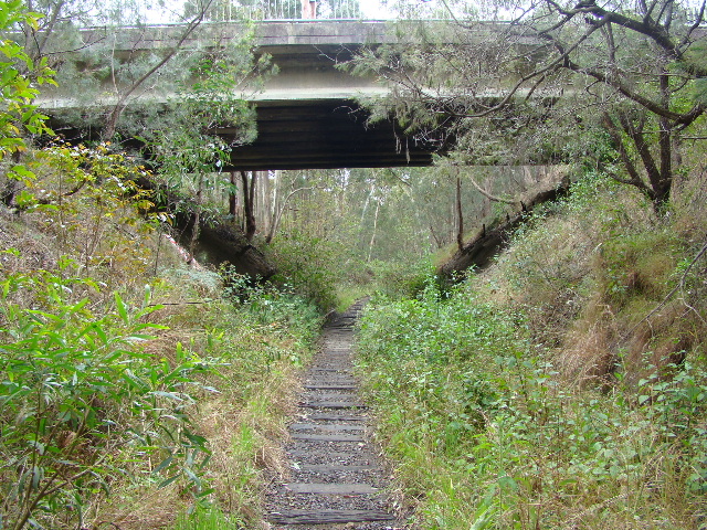 The view as the line passes under a road bridge, between Whitebridge and Redhead.