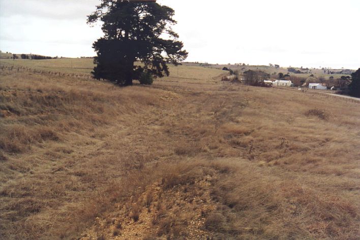 
The location of Woodhouselee station.  The overgrown main line is still
present.  The station was located under the large tree.
