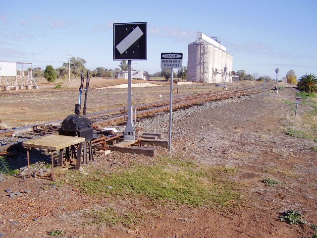 A view from 'D' frame at the eastern end of the Yanco yard showing the silos and the loading bank.